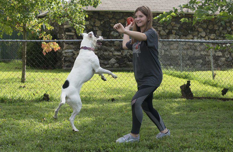Group wants to end breed-specific dog bans in area communities